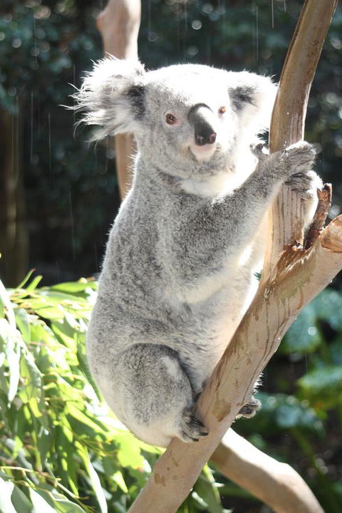 Ambience - C Tourism 27