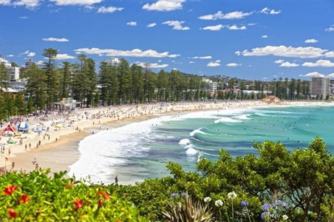 Oversized 2 Bedroom Manly Beach House - C Tourism 12