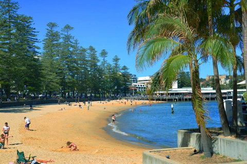 Oversized 2 Bedroom Manly Beach House - C Tourism 14