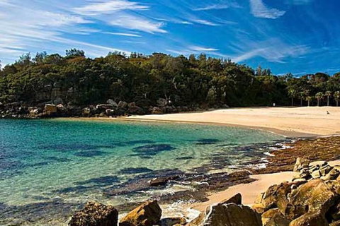 Oversized 2 Bedroom Manly Beach House - C Tourism 10