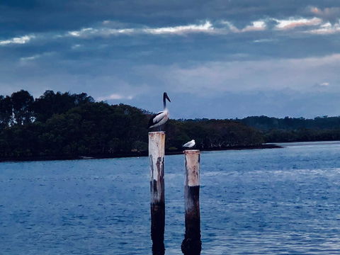 Boathouse Resort (Water Front) - C Tourism 15