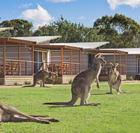 Discovery Parks  Pambula Beach - C Tourism