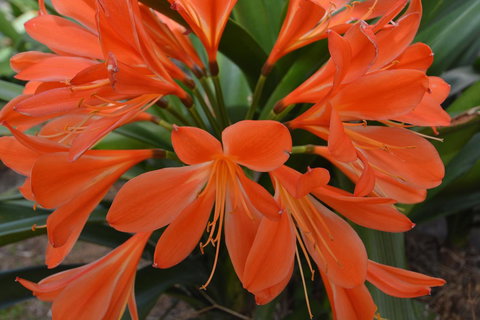 JE Guesthouse, Central To All The Hunter Valley Has To Offer - C Tourism 39