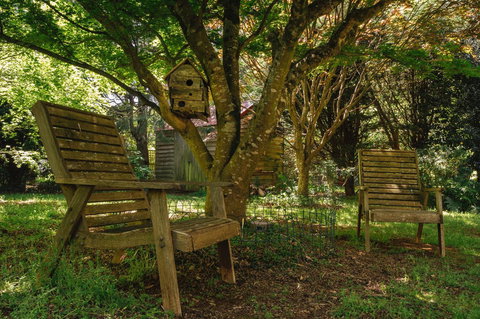 Lark Cottage - C Tourism 28