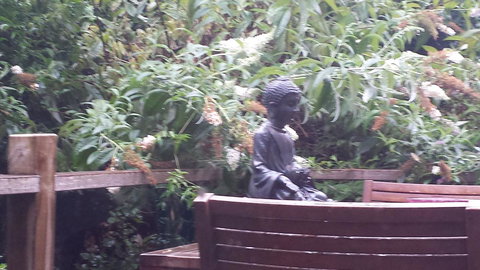 Lark Cottage - C Tourism 19