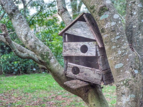 Lark Cottage - C Tourism 3