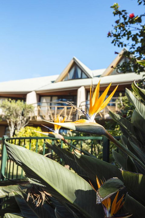 Beach Hotel Resort - C Tourism 36