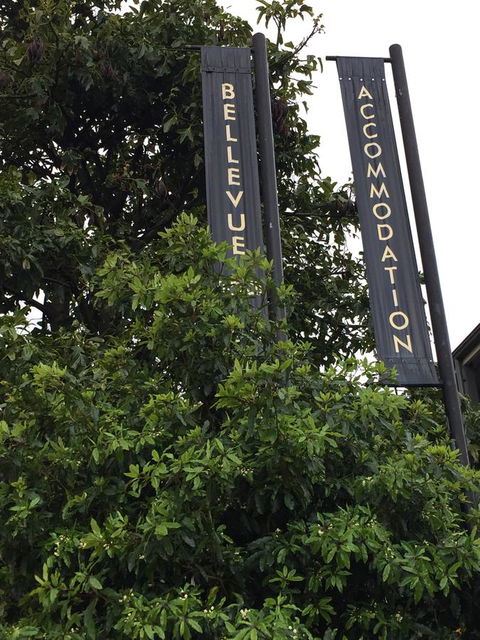 Bellevue Accommodation - C Tourism 17