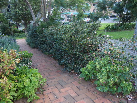 Bellevue Accommodation - C Tourism 22