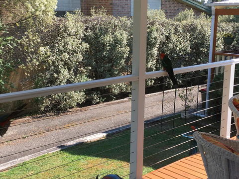 The Best Exotic Magnolia Cottage - C Tourism 15