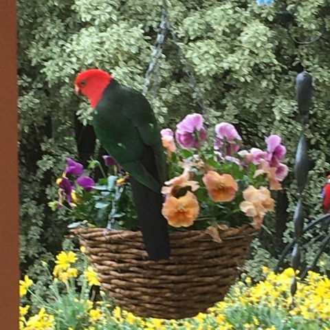 The Best Exotic Magnolia Cottage - C Tourism 32