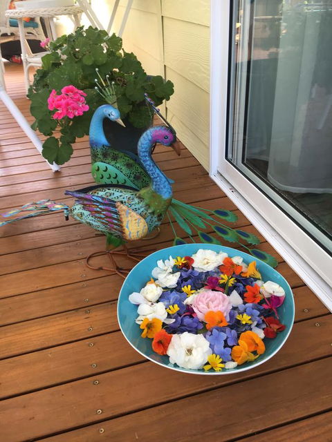 The Best Exotic Magnolia Cottage - C Tourism 8