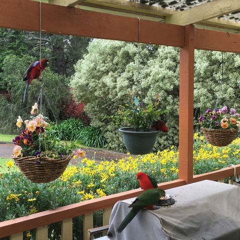 The Best Exotic Magnolia Cottage - C Tourism 33