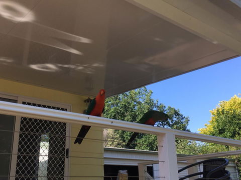 The Best Exotic Magnolia Cottage - C Tourism 11