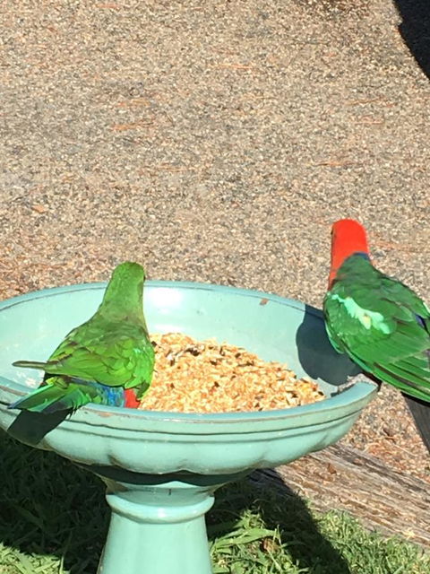 The Best Exotic Magnolia Cottage - C Tourism 12