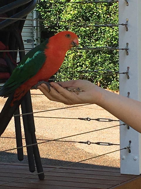 The Best Exotic Magnolia Cottage - C Tourism 13