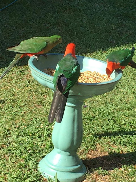 The Best Exotic Magnolia Cottage - C Tourism 10