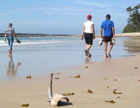Mollymook Surfbeach Motel & Apartments - C Tourism 13