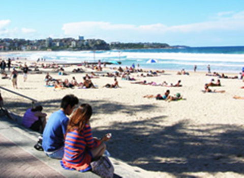 Manly Beachside Apartments - C Tourism 19
