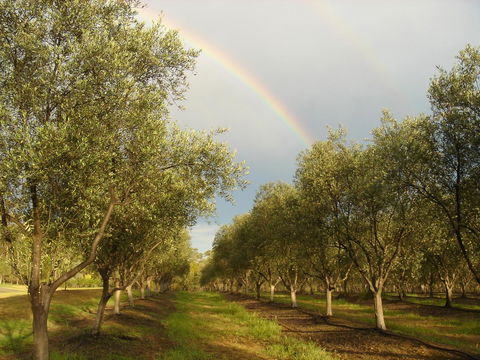 Adina Vineyard - C Tourism 19