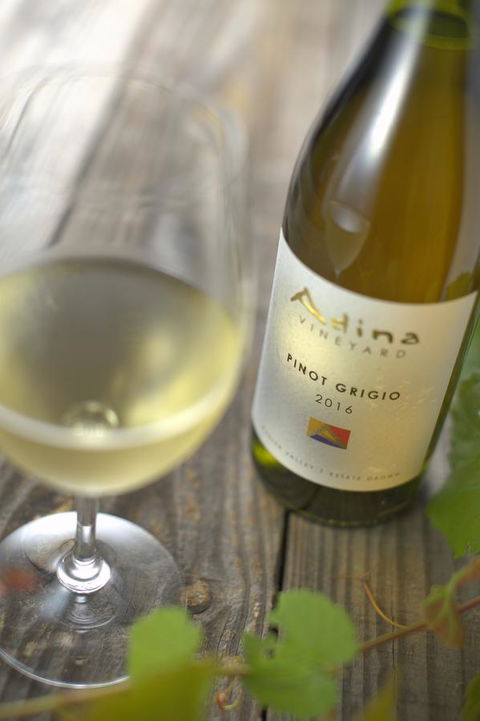Adina Vineyard - C Tourism 7