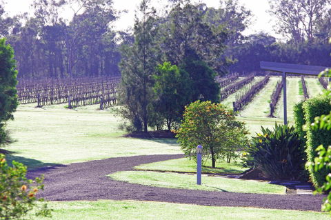 Adina Vineyard - C Tourism 14
