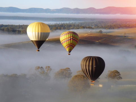 Adina Vineyard - C Tourism 21