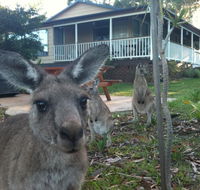 Bush  Bay Cottage - C Tourism