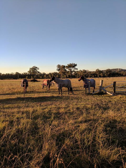 Madigan Wine Country Cottages - C Tourism 8