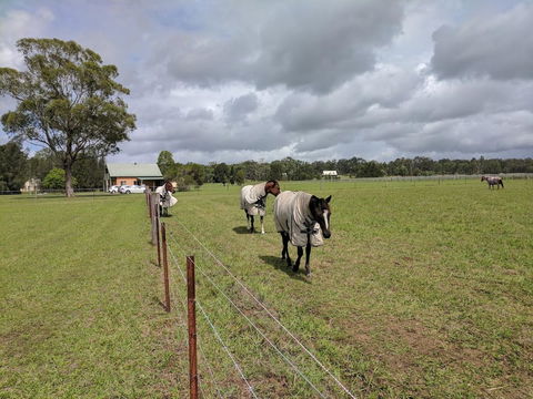 Madigan Wine Country Cottages - C Tourism 9