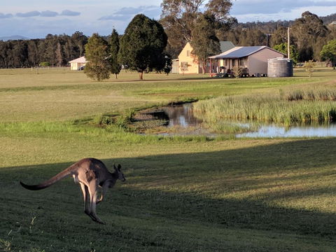 Madigan Wine Country Cottages - C Tourism 6