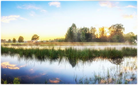 Madigan Wine Country Cottages - C Tourism 19