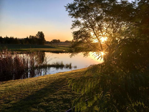 Madigan Wine Country Cottages - C Tourism 17