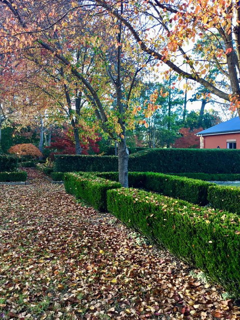 Chanticleer Gardens Barn Cottage With A Pool - C Tourism 37