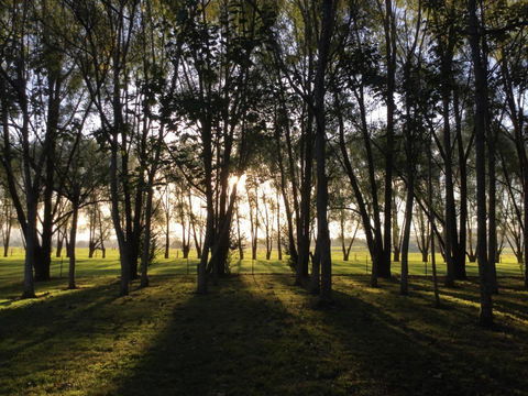 Moruya Motel - C Tourism 39