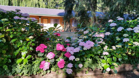 Moruya Motel - C Tourism 28