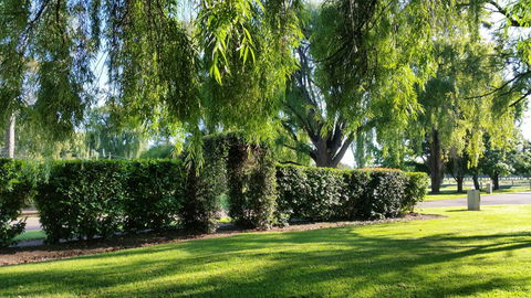 Moruya Motel - C Tourism 30