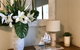 Lakeview Cottage - thumb 10