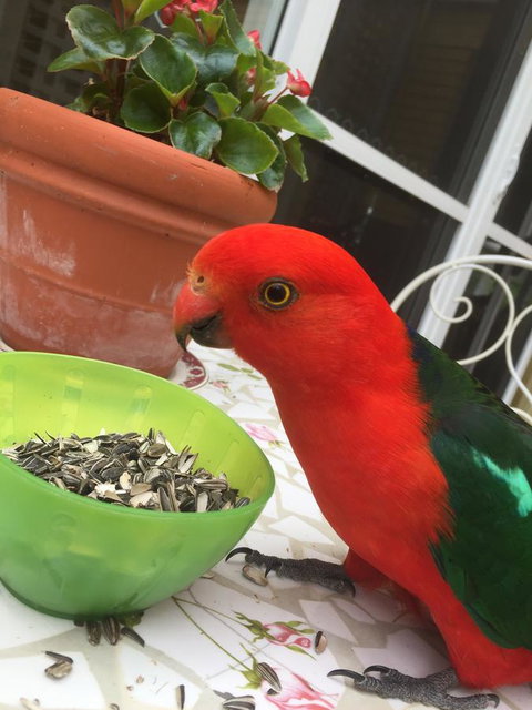 Bundanoon Lodge - C Tourism 5