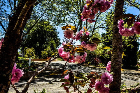 Bundanoon Lodge - C Tourism 3