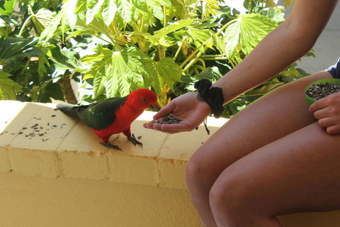 Bundanoon Lodge - C Tourism 4