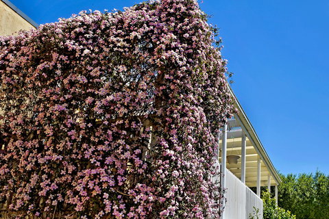 Bundanoon Lodge - C Tourism 13