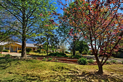 Bundanoon Lodge - C Tourism 16