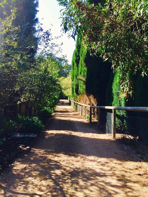 Bowral Escape - C Tourism 24