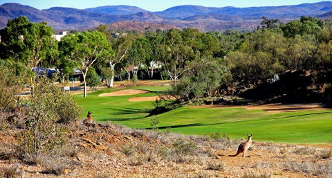 Desert Palms Alice Springs - C Tourism 30
