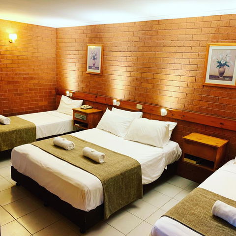 Pine Tree Motel - C Tourism 19