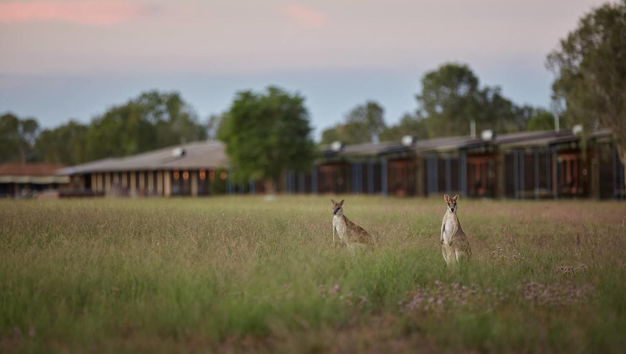 Woolaning NT C Tourism
