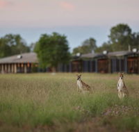Wildman Wilderness Lodge - C Tourism