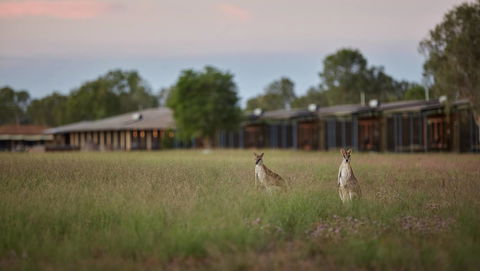 Wildman Wilderness Lodge - C Tourism 0