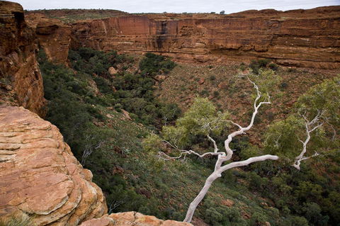 Kings Creek Station - C Tourism 15